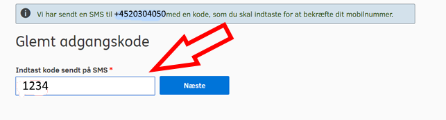 Skærmbillede af formular til ny adgangskode 