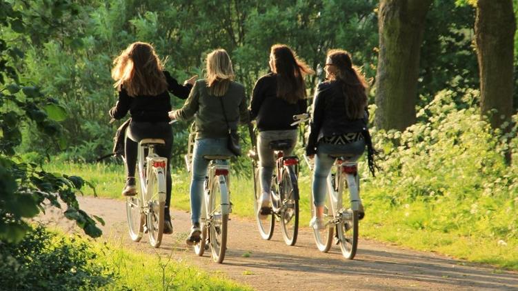 Fire unge cykler i skov